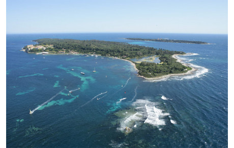 Stage Judo aux Iles de Lérins